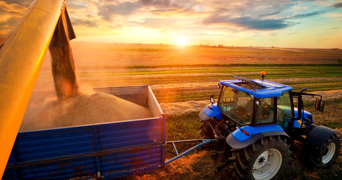 Diese Versicherungen brauchen Landwirte